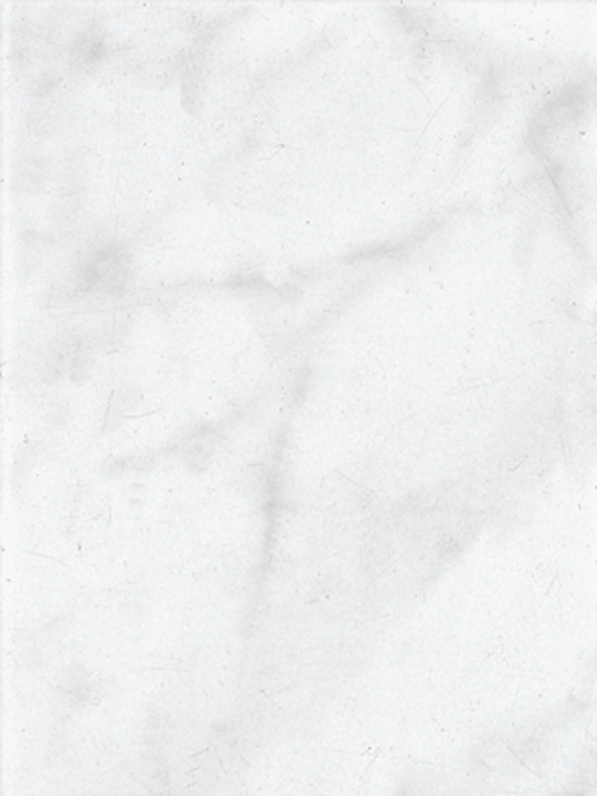 Mosa Ledo 2880 15x20cm wit-grijs glanzend